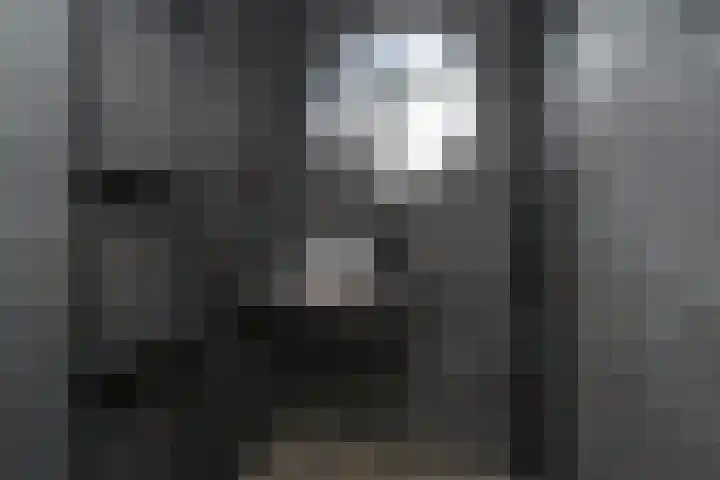 Quadenoord 26 Rotterdam thumbnail 4