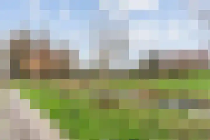 Quadenoord 274 Rotterdam thumbnail 28