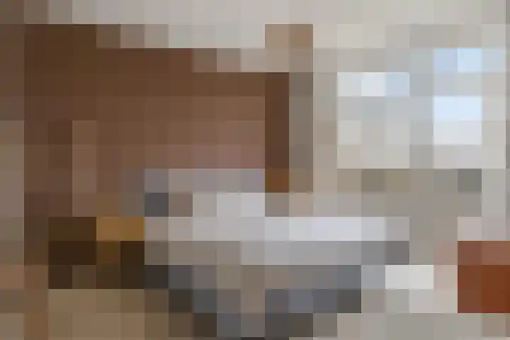 Quadenoord 274 Rotterdam thumbnail 4