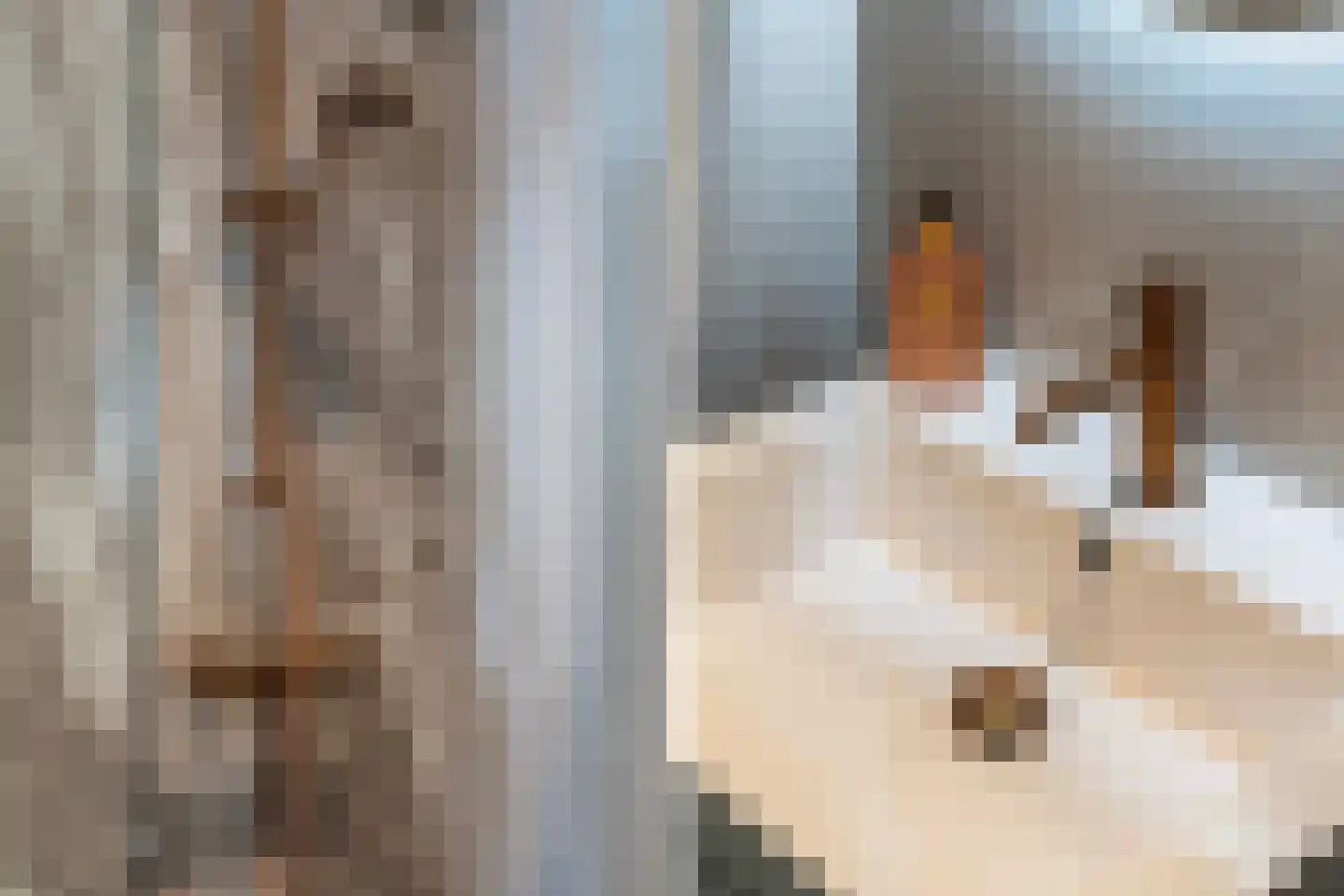 Quadenoord 276 Rotterdam thumbnail 23
