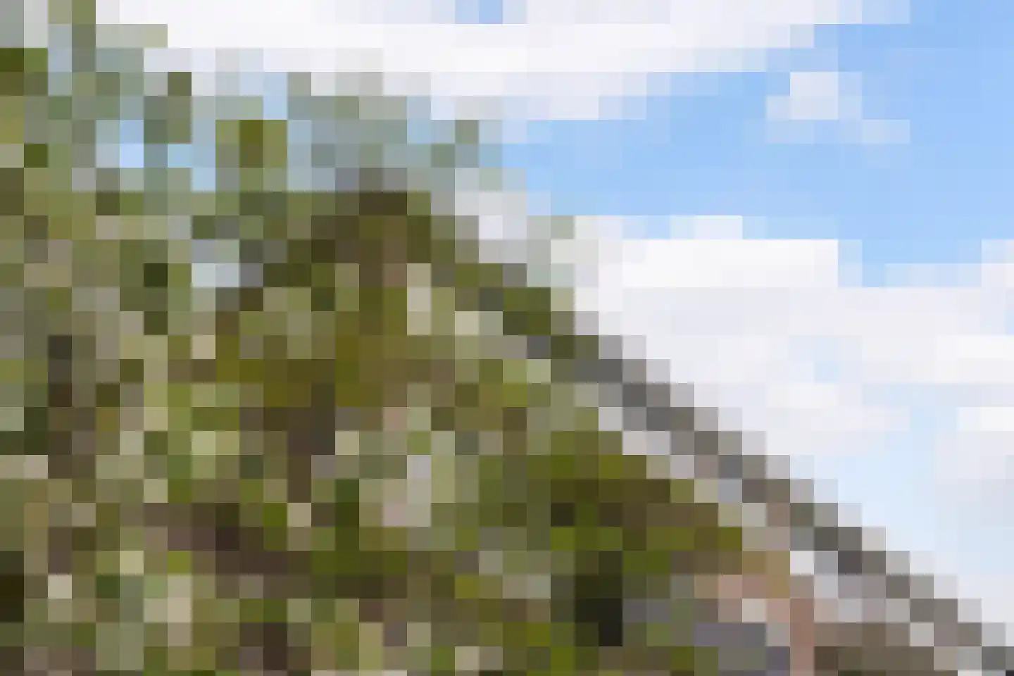 Quadenoord 276 Rotterdam thumbnail 37