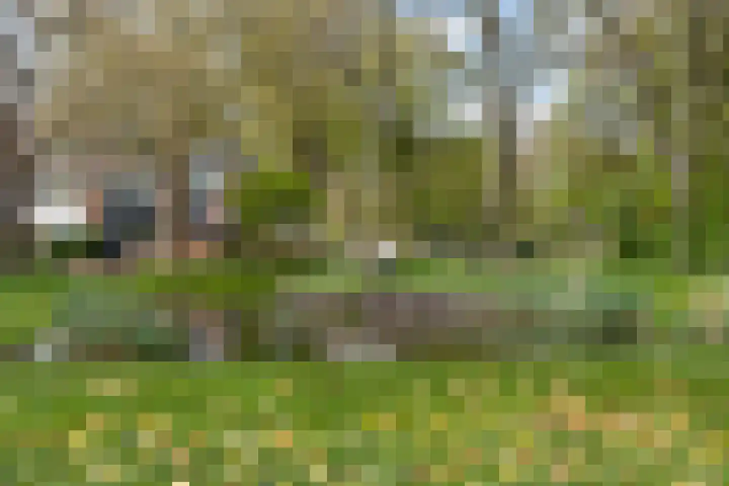 Quadenoord 276 Rotterdam thumbnail 38