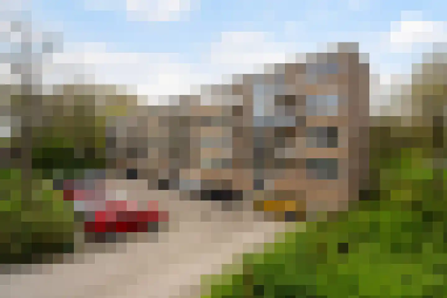Quadenoord 276 Rotterdam thumbnail 7
