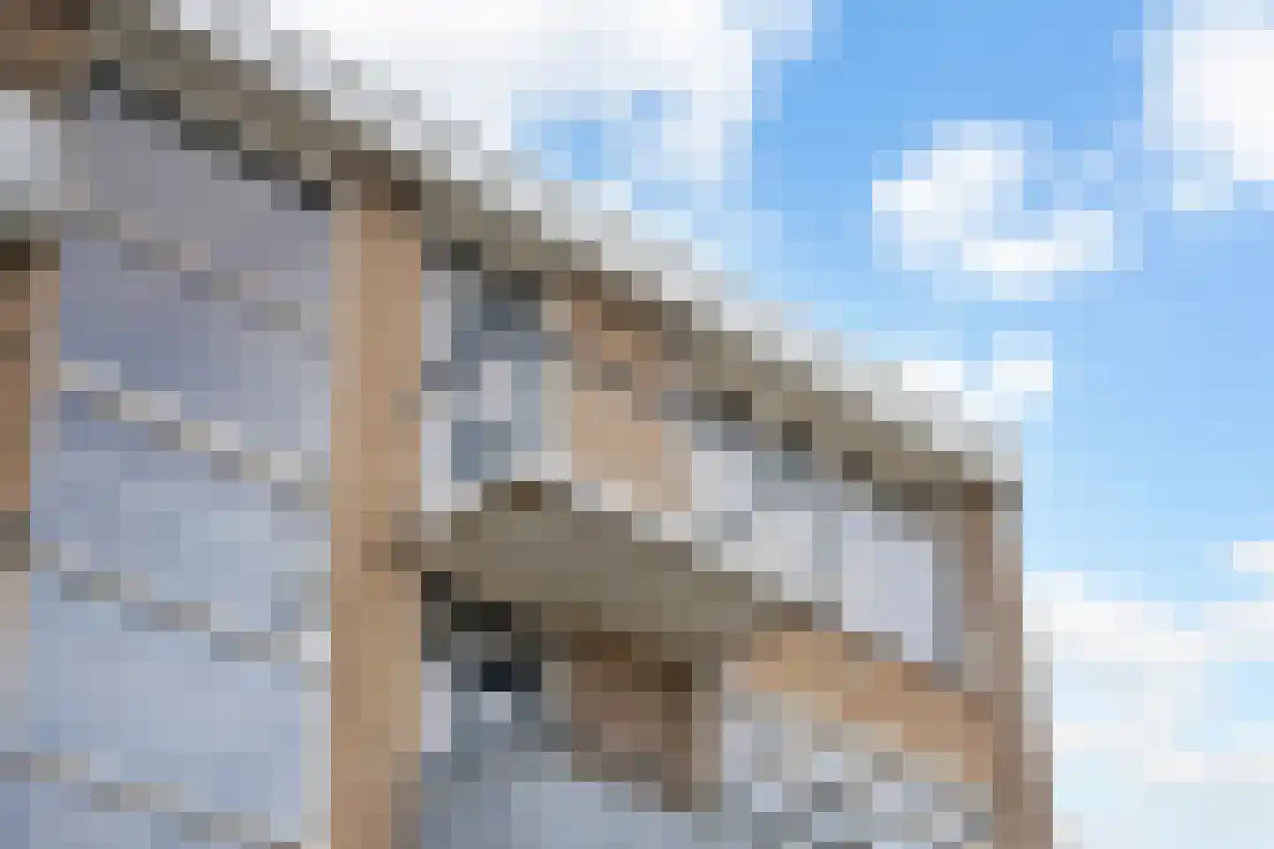 Quadenoord 276 Rotterdam thumbnail 9
