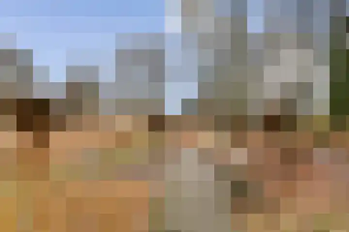 Quadenoord 278 Rotterdam thumbnail 18