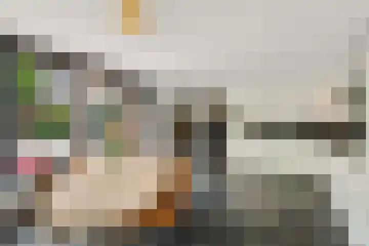Quadenoord 278 Rotterdam thumbnail 4