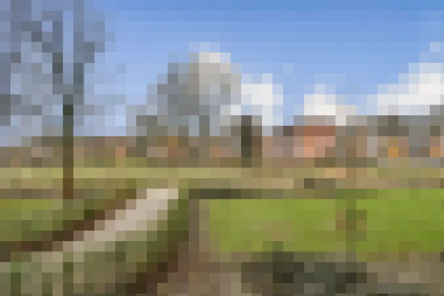 Quadenoord 278 Rotterdam thumbnail 5