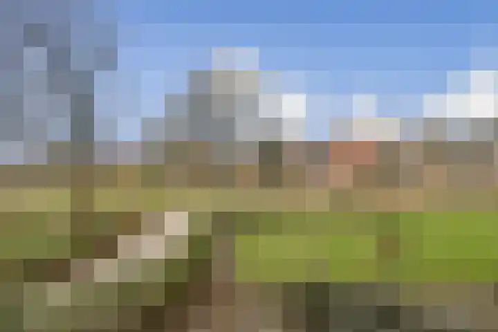 Quadenoord 278 Rotterdam thumbnail 5