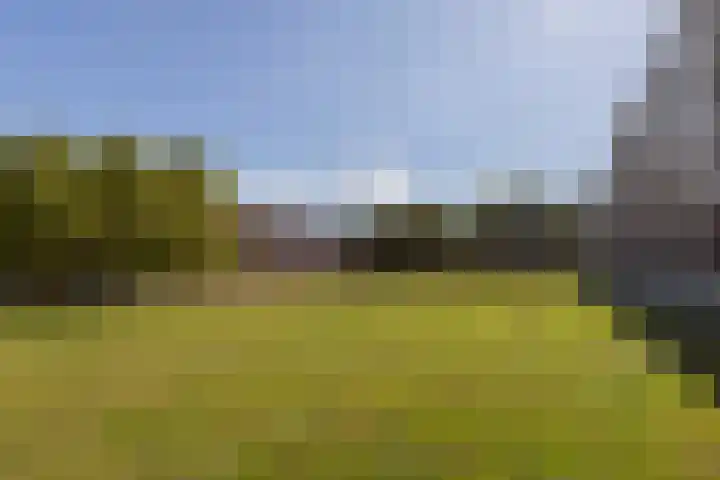 Quadenoord 28 Rotterdam thumbnail 23