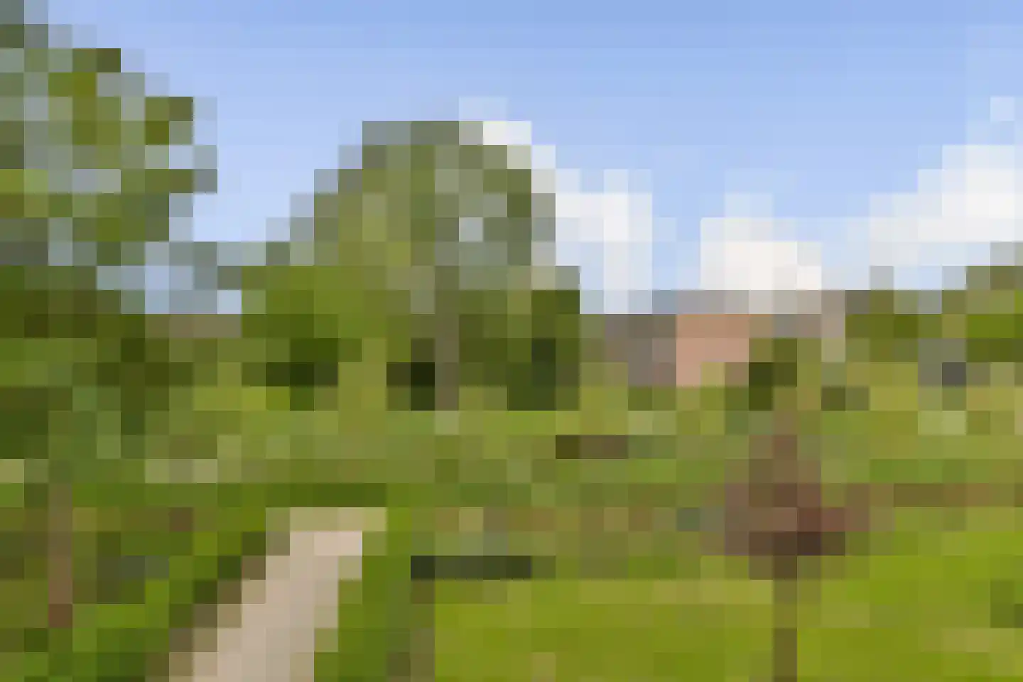 Quadenoord 280 Rotterdam thumbnail 5