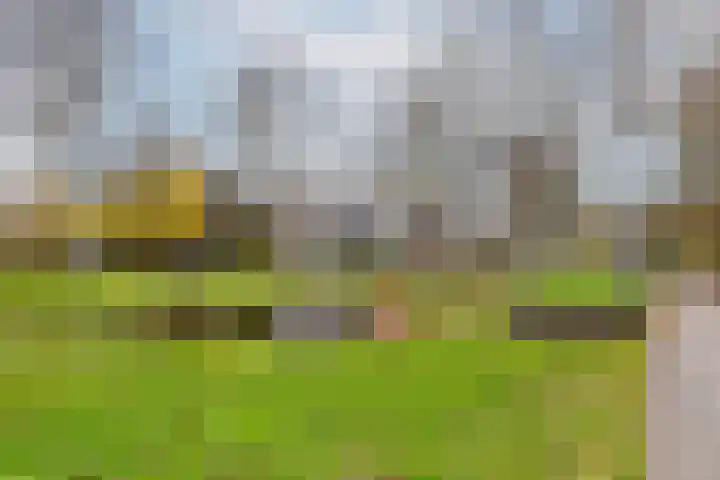 Quadenoord 306 Rotterdam thumbnail 30