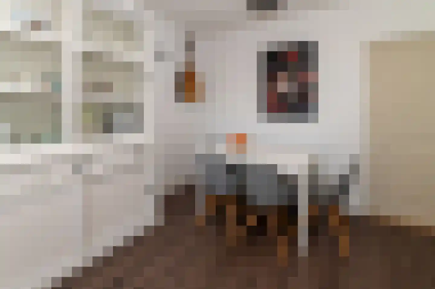 Quadenoord 322 Rotterdam thumbnail 17