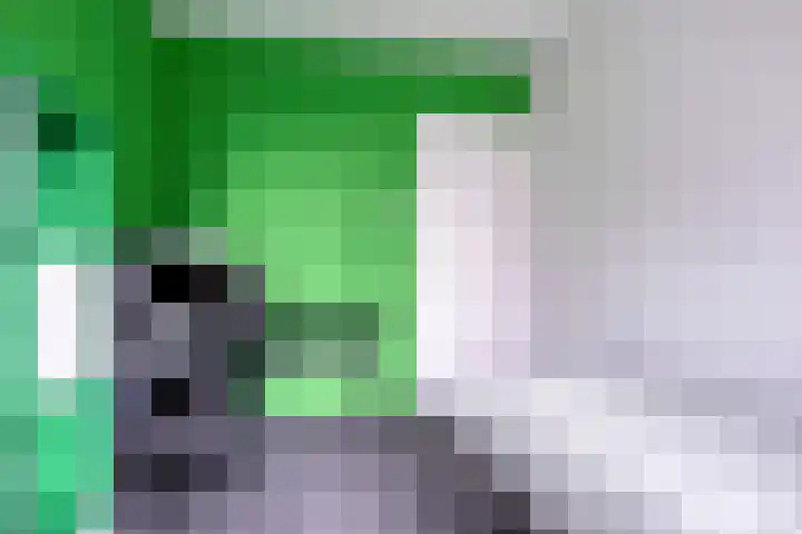 Quadenoord 65 Rotterdam thumbnail 14