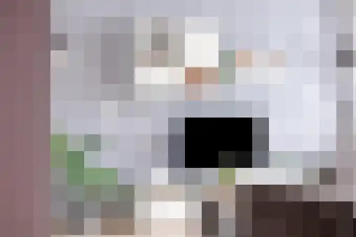 Quadenoord 65 Rotterdam thumbnail 4
