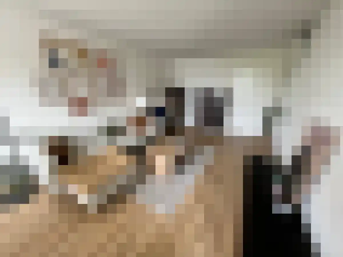 Quadenoord 72 Rotterdam thumbnail 6