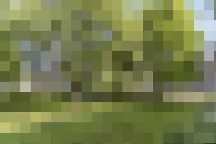 Quadenoord 81 Rotterdam thumbnail 23