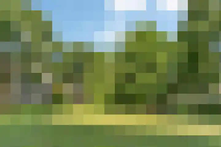 Quadenoord 81 Rotterdam thumbnail 24