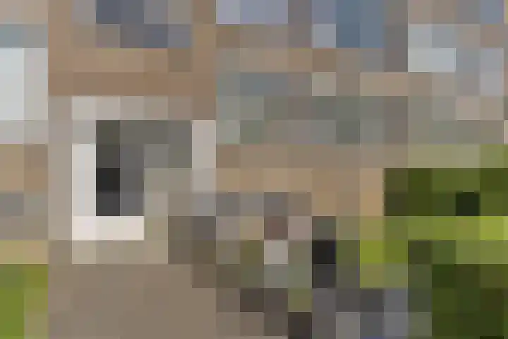 Quadenoord 81 Rotterdam thumbnail 5
