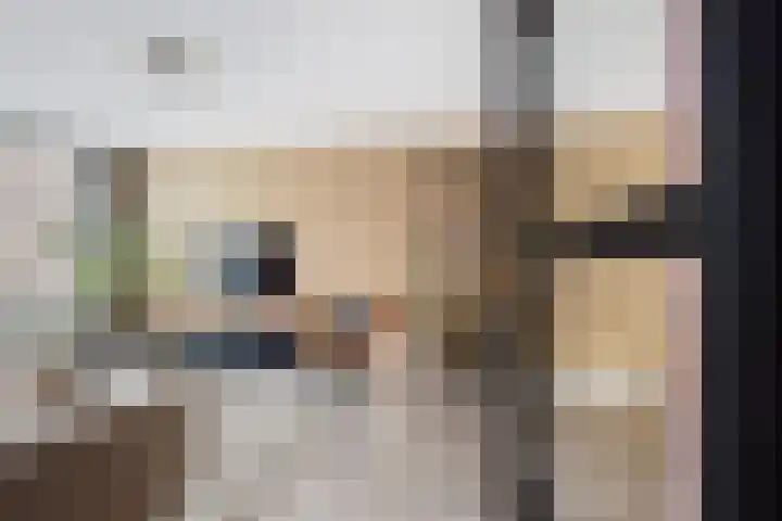 Quadenoord 9 Rotterdam thumbnail 10