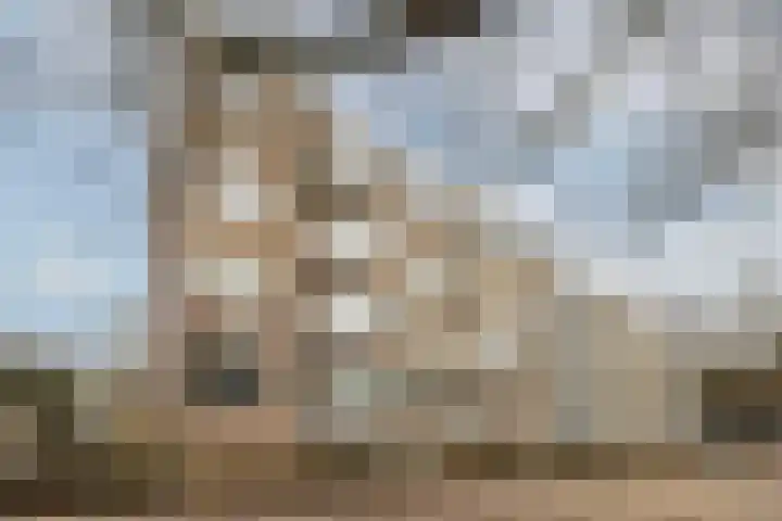 Quadenoord 9 Rotterdam thumbnail 29
