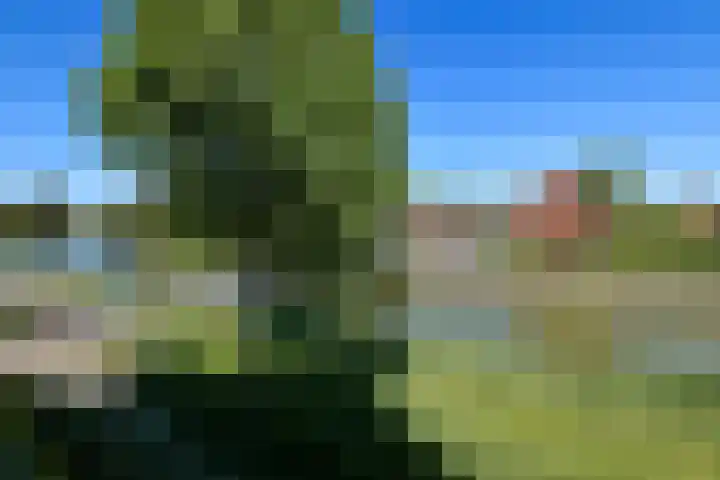 Quadrans 32 Elst thumbnail 10