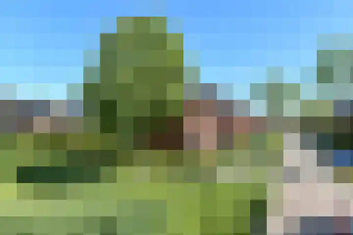 Quadrans 32 Elst thumbnail 14