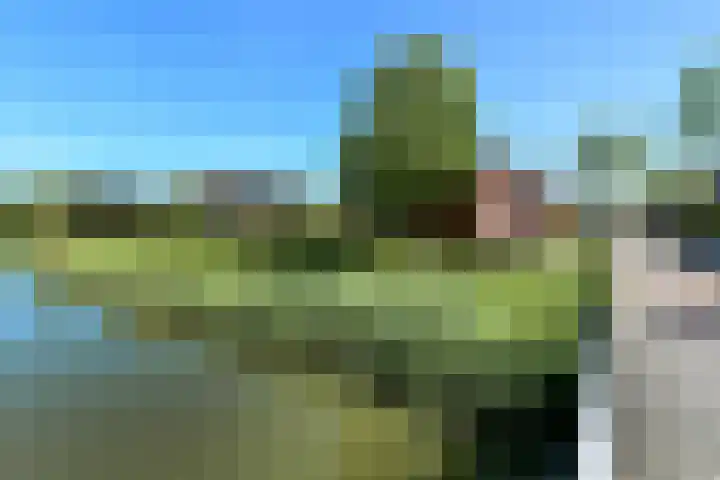 Quadrans 32 Elst thumbnail 16