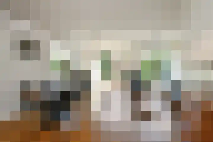 Quadrans 32 Elst thumbnail 21