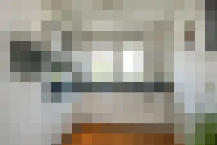 Quadrans 32 Elst thumbnail 27