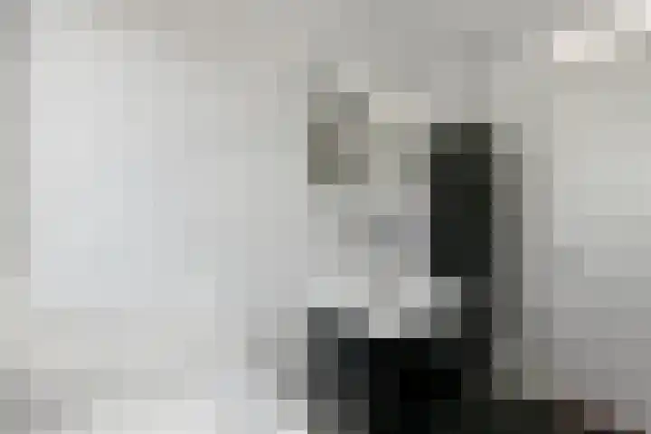 Quadrans 32 Elst thumbnail 37