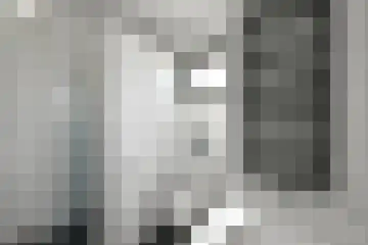 Quadrans 32 Elst thumbnail 38