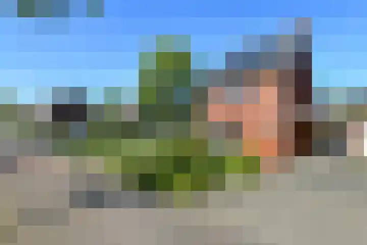 Quadrans 32 Elst thumbnail 4