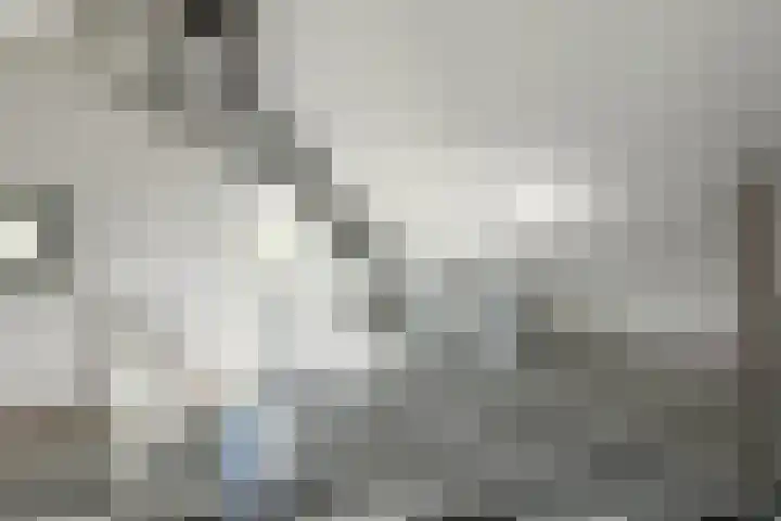 Quadrans 32 Elst thumbnail 42