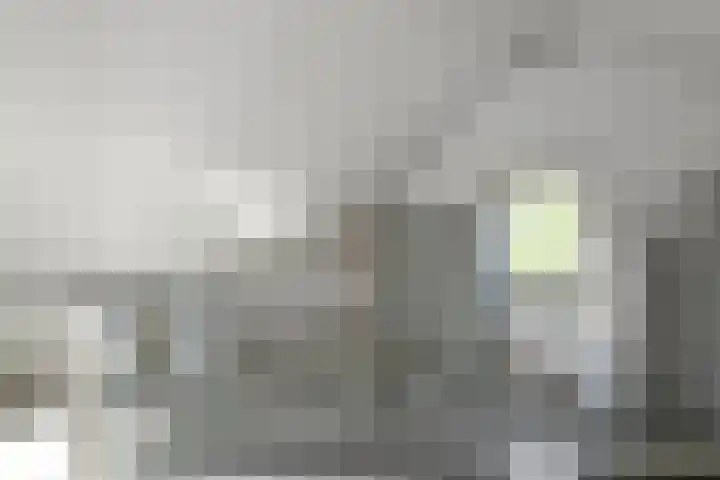 Quadrans 32 Elst thumbnail 43