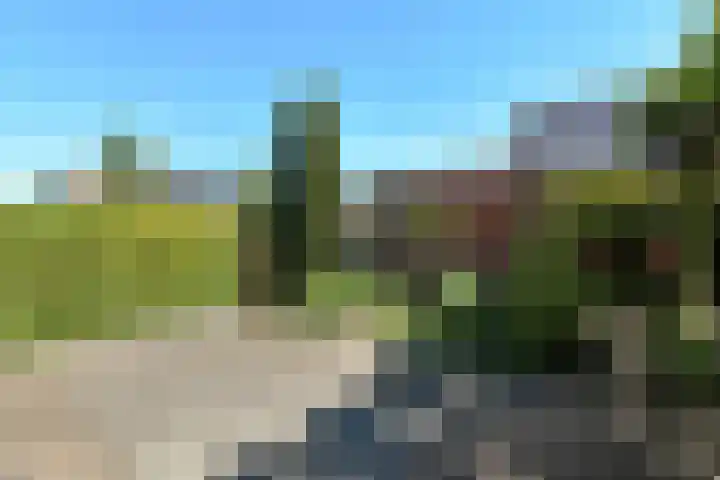 Quadrans 32 Elst thumbnail 46