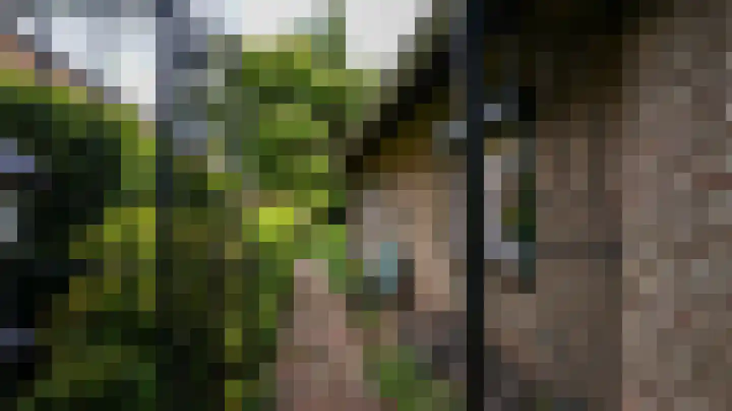 Quaedvlieglaan 1 Landgraaf thumbnail 11