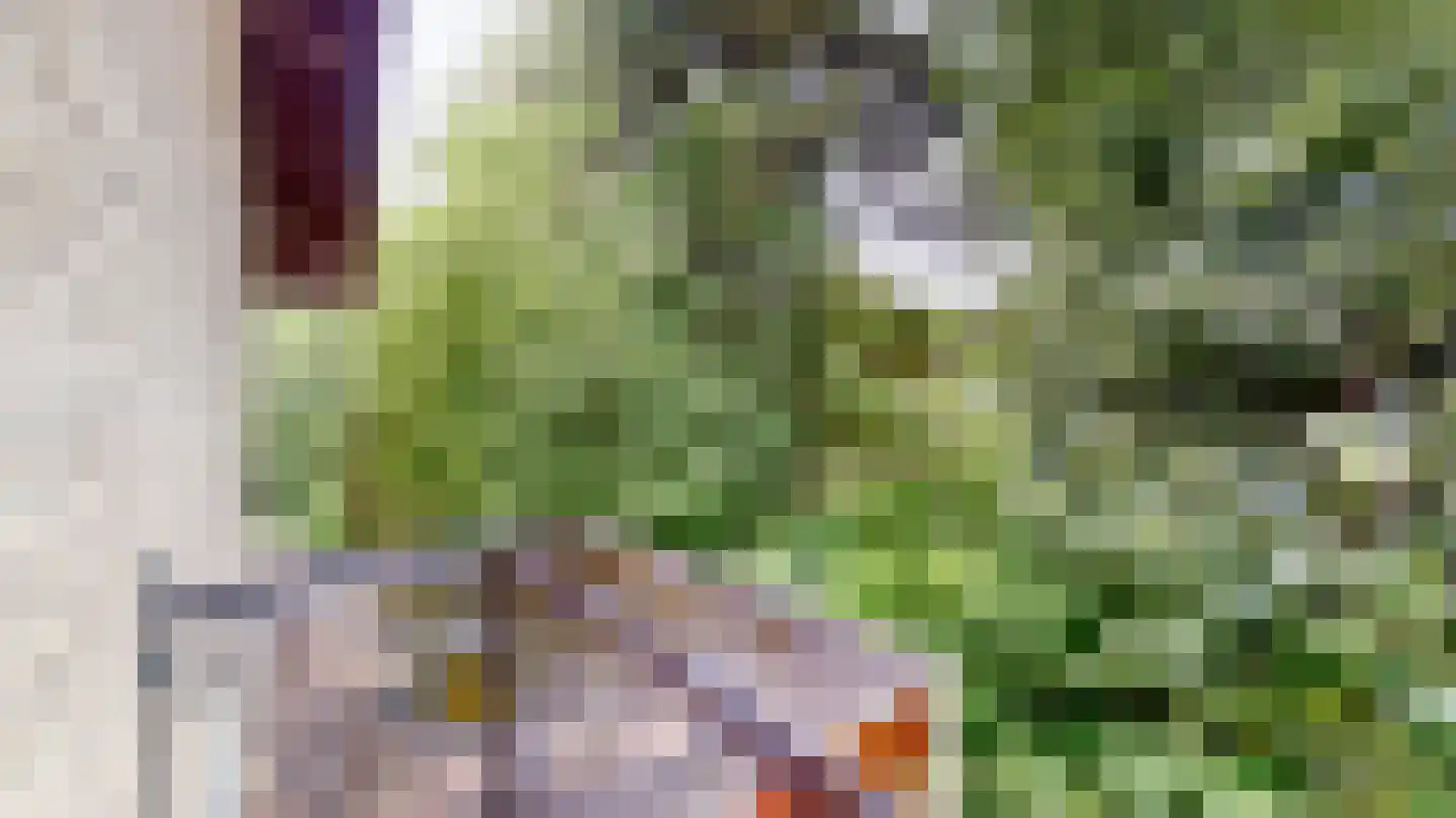 Quaedvlieglaan 1 Landgraaf thumbnail 28