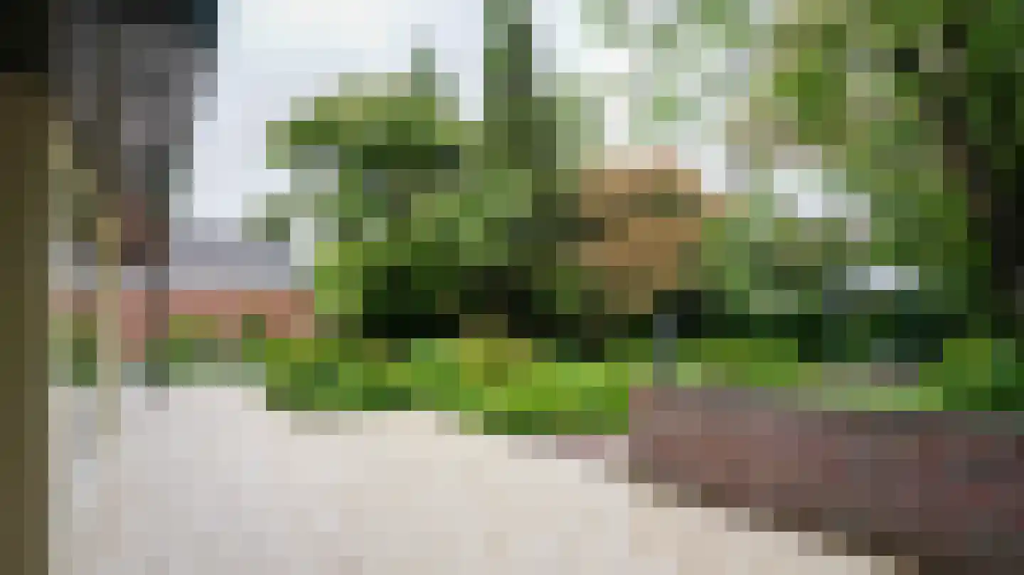 Quaedvlieglaan 1 Landgraaf thumbnail 36