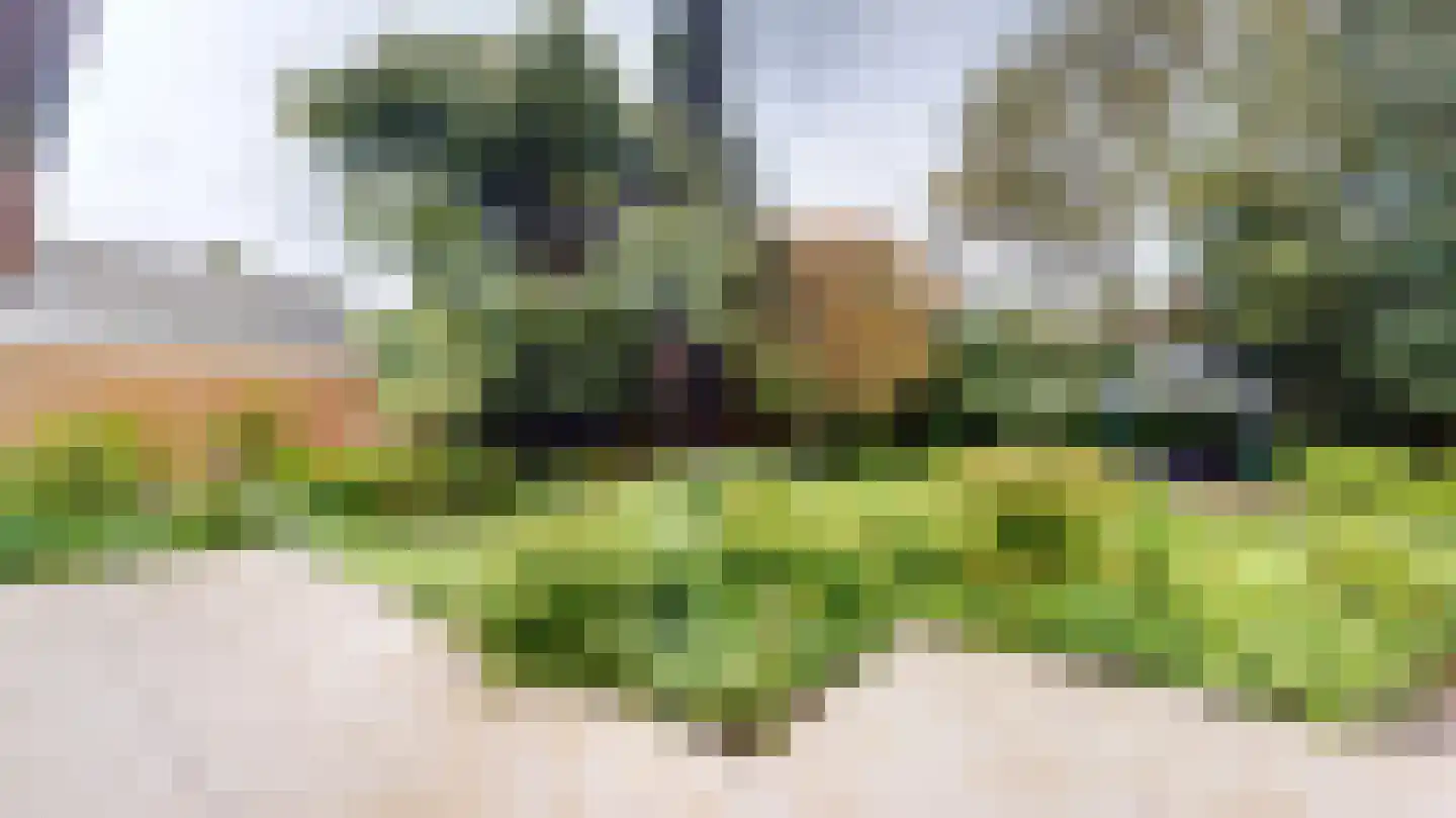 Quaedvlieglaan 1 Landgraaf thumbnail 37