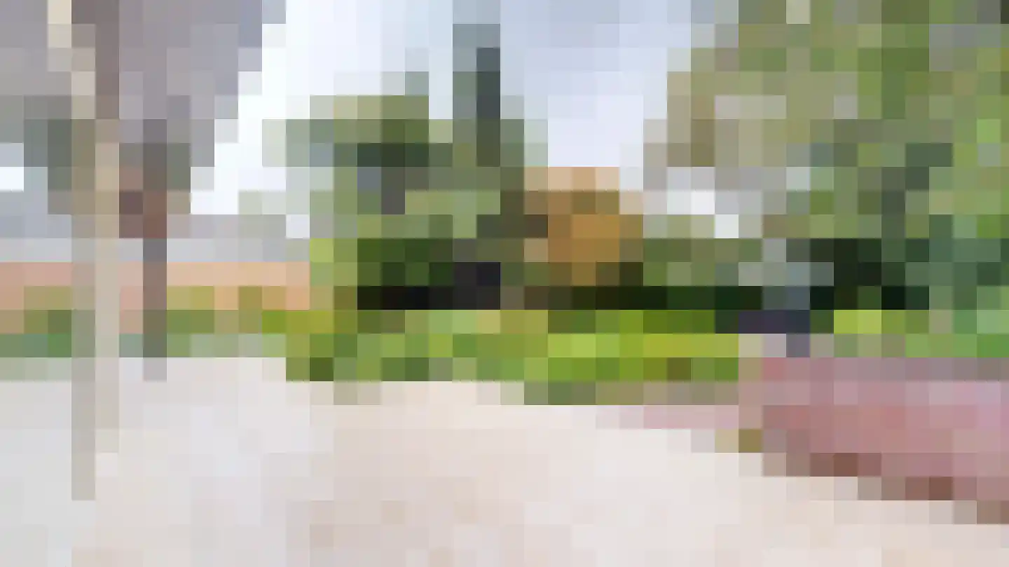 Quaedvlieglaan 1 Landgraaf thumbnail 38