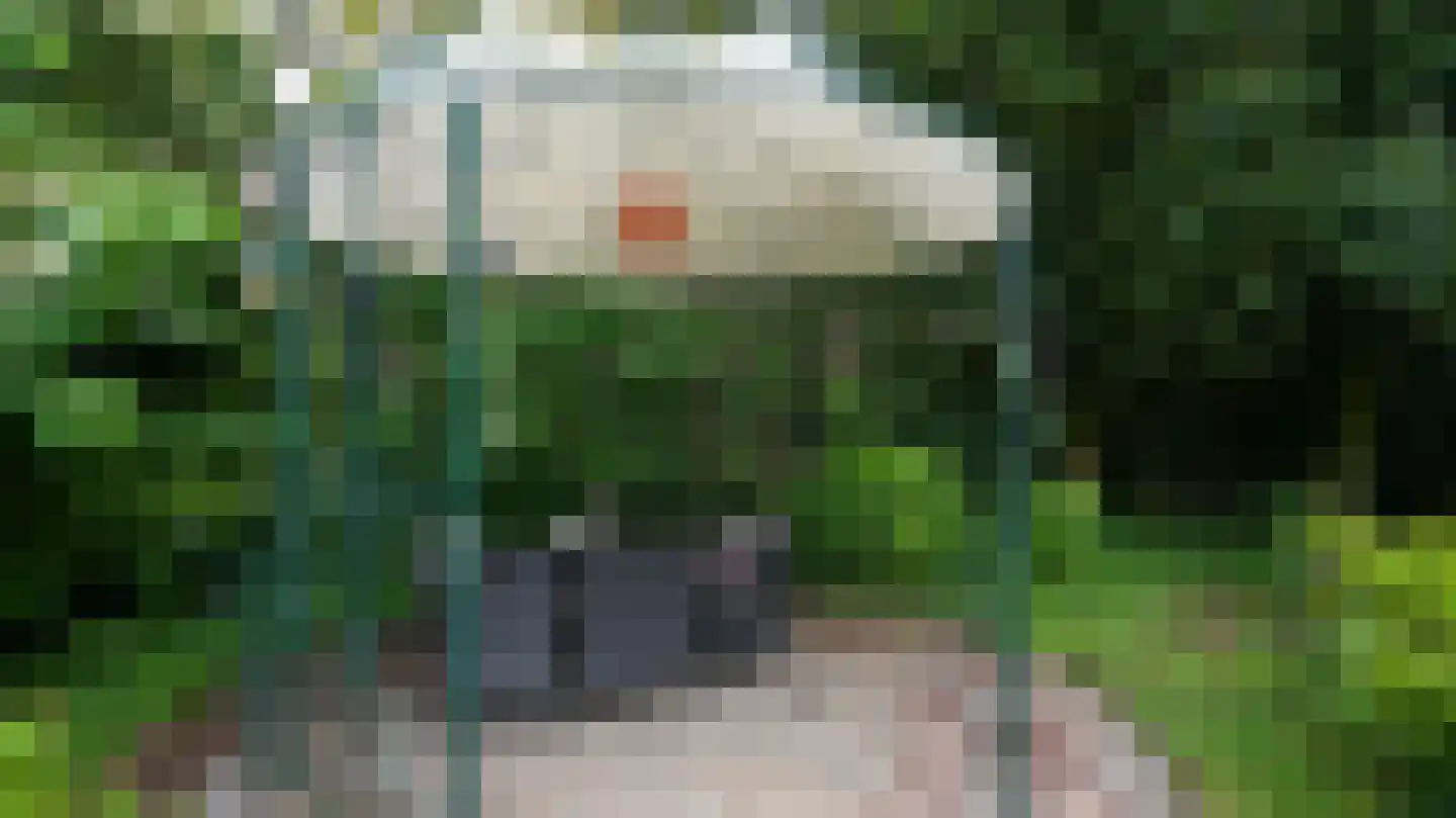 Quaedvlieglaan 1 Landgraaf thumbnail 39