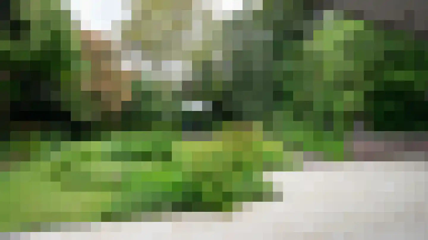 Quaedvlieglaan 1 Landgraaf thumbnail 40