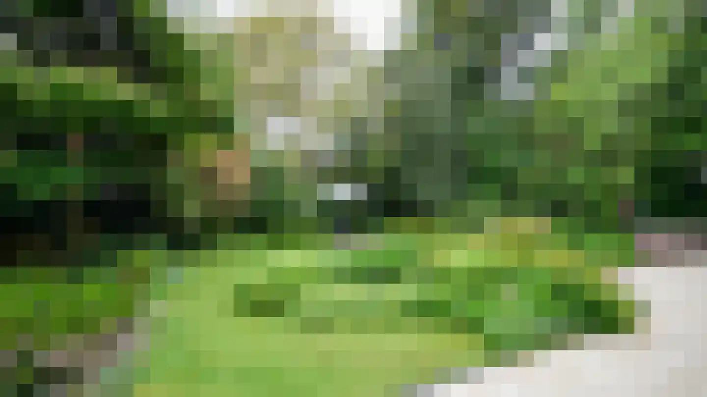 Quaedvlieglaan 1 Landgraaf thumbnail 41