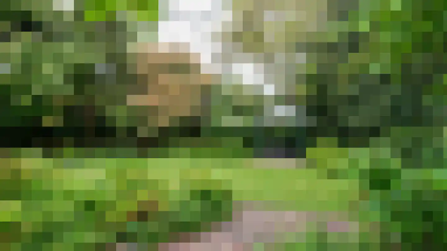 Quaedvlieglaan 1 Landgraaf thumbnail 42