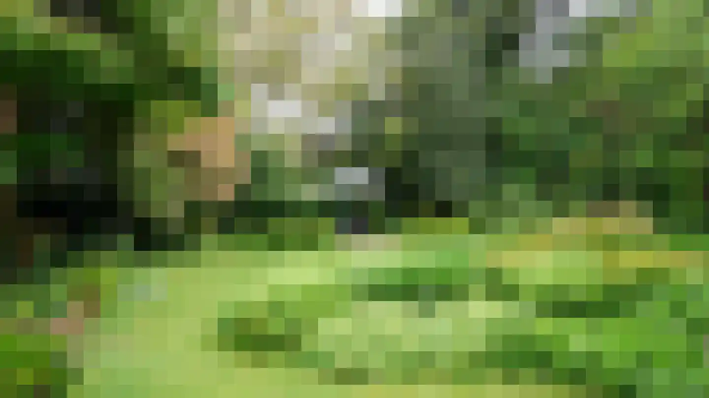Quaedvlieglaan 1 Landgraaf thumbnail 44
