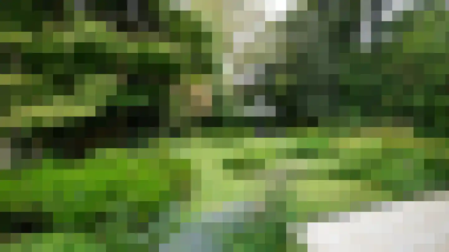 Quaedvlieglaan 1 Landgraaf thumbnail 45