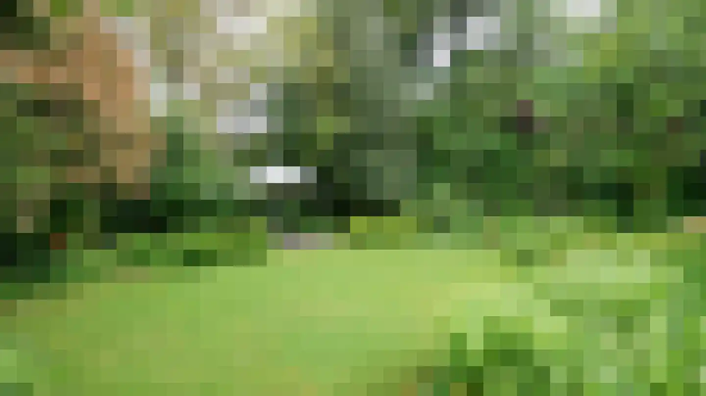 Quaedvlieglaan 1 Landgraaf thumbnail 46