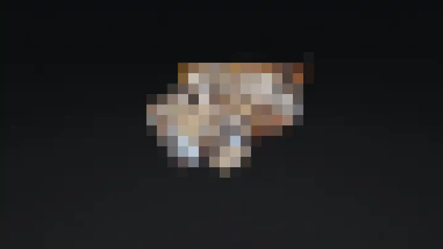 Quaedvlieglaan 1 Landgraaf thumbnail 51