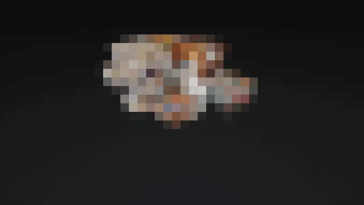 Quaedvlieglaan 1 Landgraaf thumbnail 60