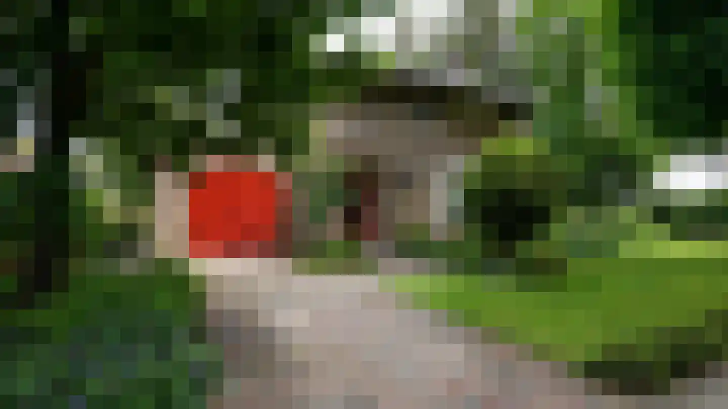 Quaedvlieglaan 1 Landgraaf thumbnail 7